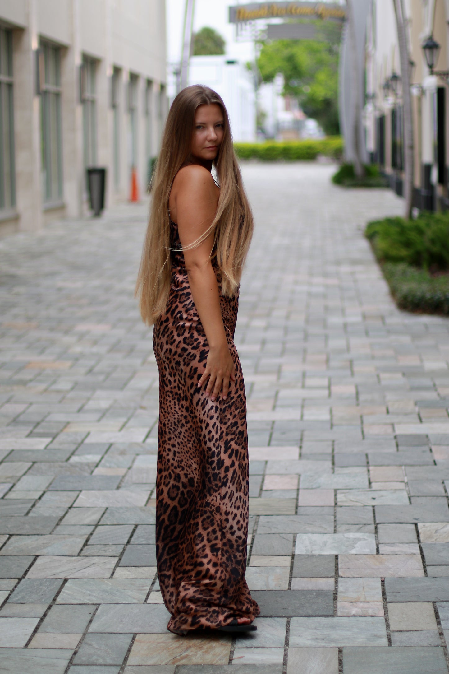 Verona Dress/Leo