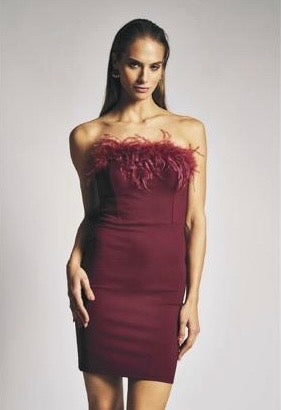 Short Dress Evening Muse
