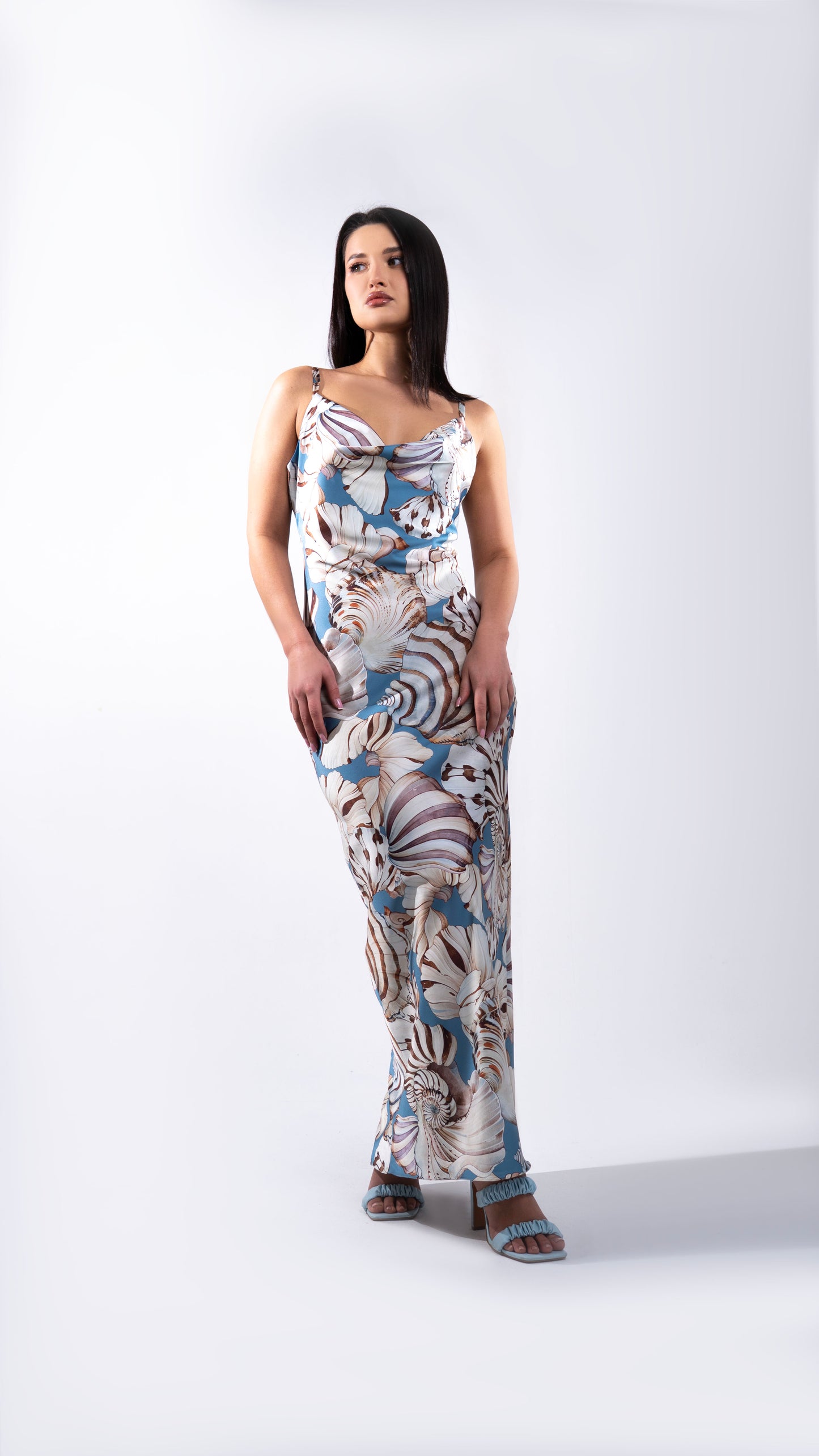 Verona Dress/Blue Shells
