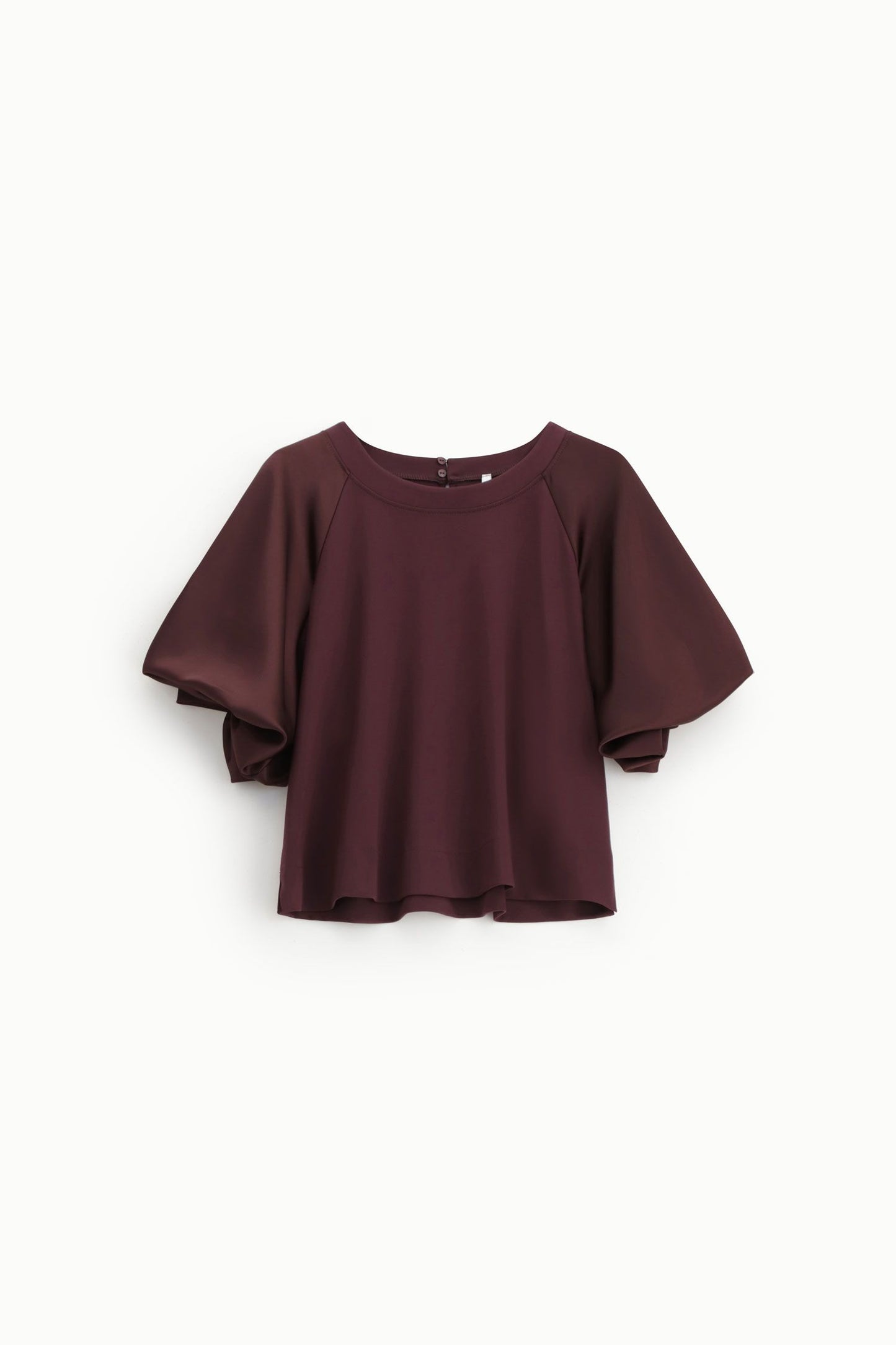 Sweatshirt With Puffy Sleeves