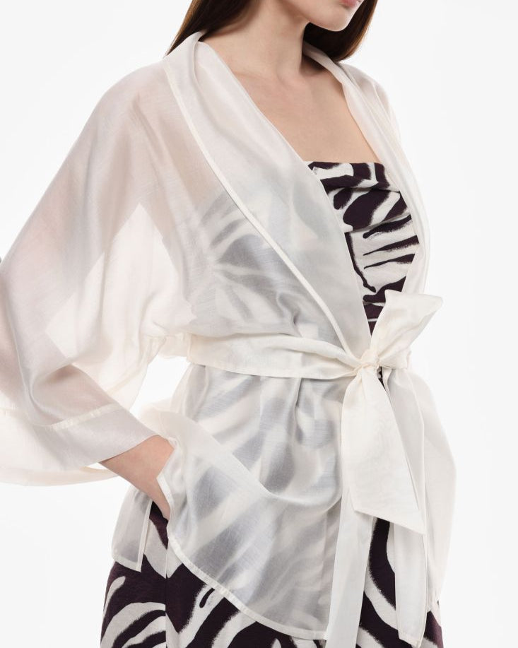 Transparent Kimono