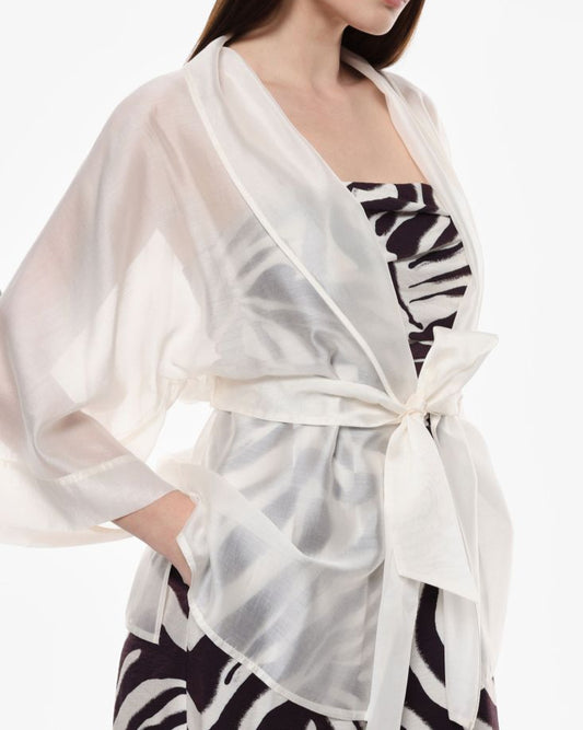 Transparent Kimono